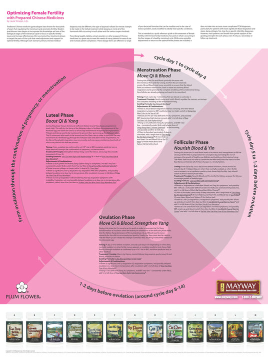 Four Phase TCM Fertility Poster