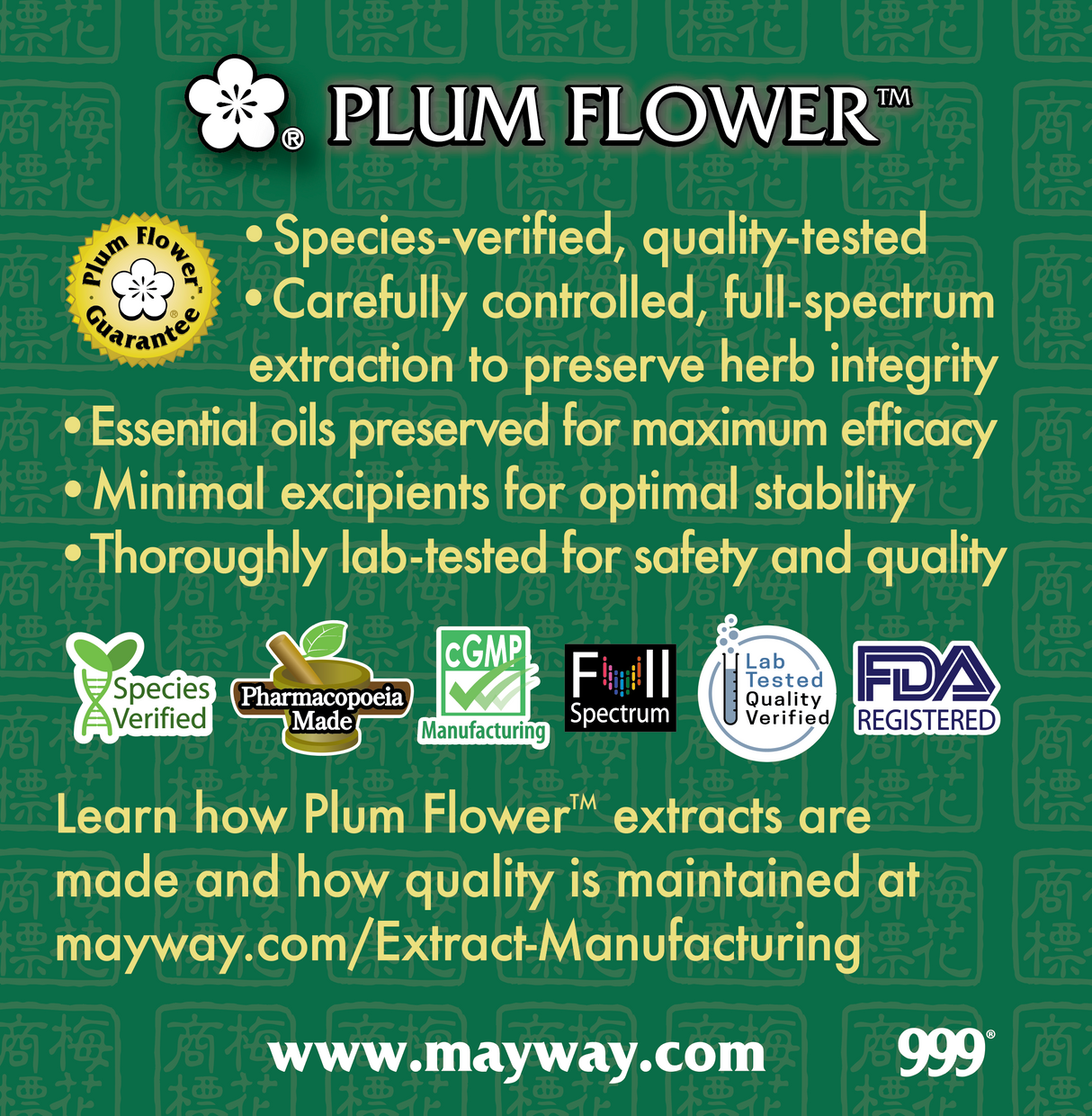 Plum Flower™️ Ce Bai Ye extract granule - back panel