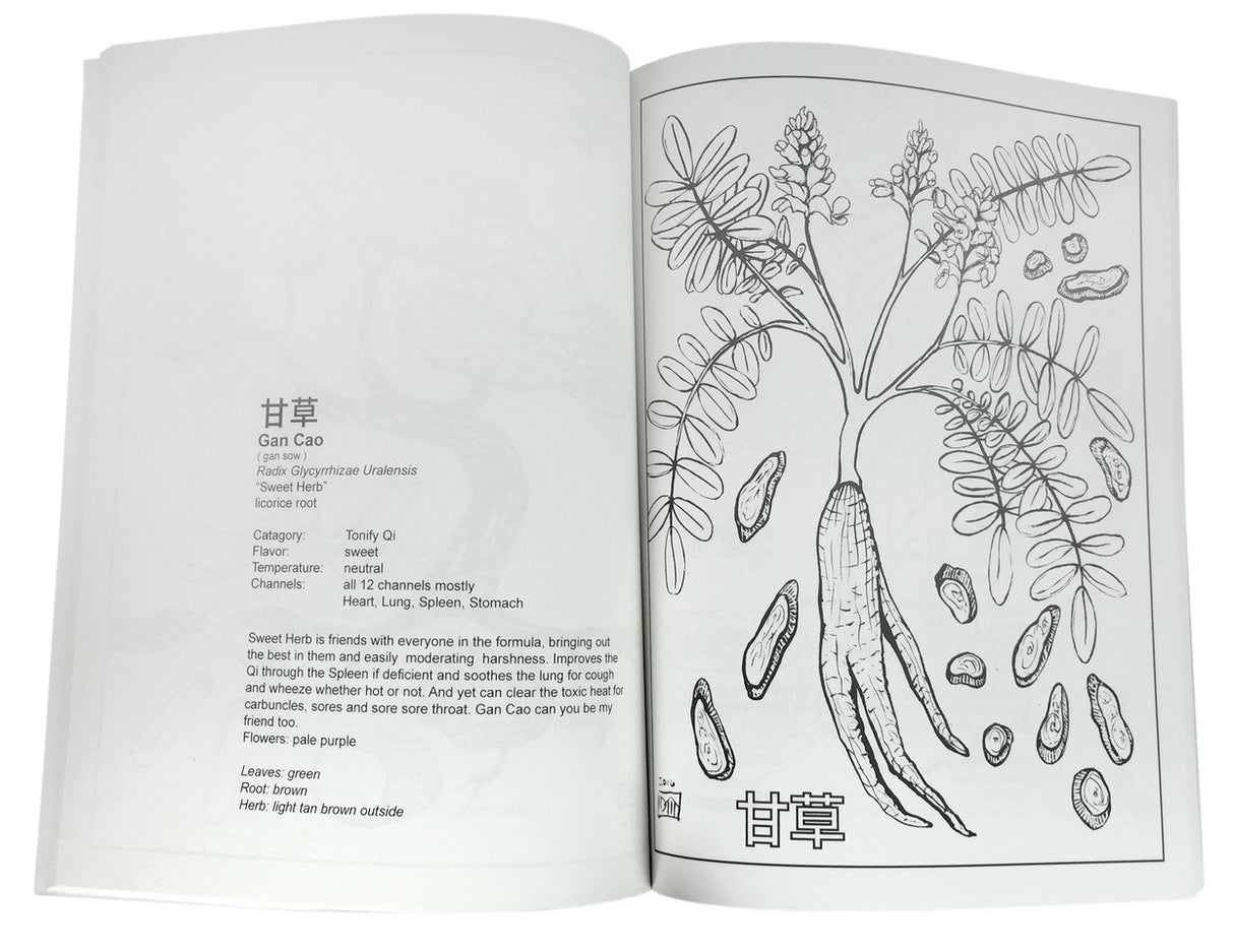 image of Herb Apothecary- a Coloring Book of 54 Chinese Herbs-Diana Moll, inside