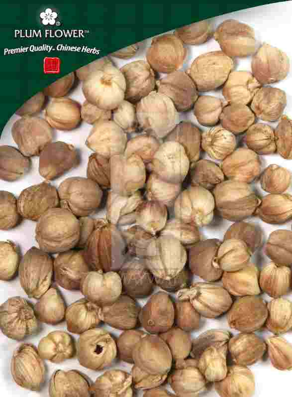 Plum Flower® Bai Dou Kou, unsulfured