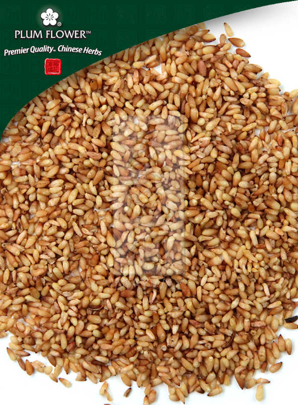 Plum Flower™️ Bai Zi Ren, unsulfured