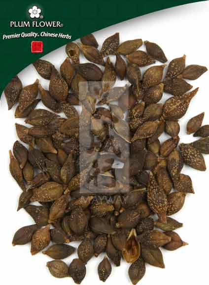 Plum Flower™️ Lian Qiao, unsulfured