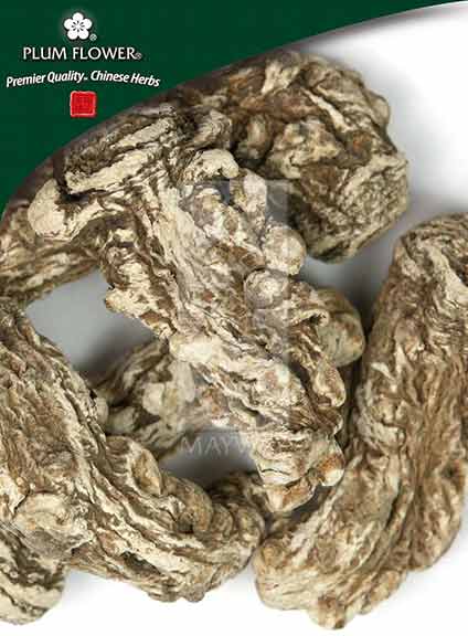 Plum Flower™️ Dang Gui Tou (large), unsulfured