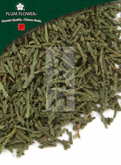 Plum Flower™️ Ce Bai Ye, unsulfured