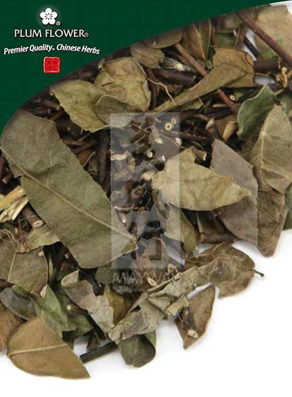 Plum Flower™️ Luo Shi Teng, unsulfured