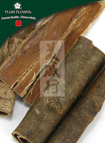 Plum Flower™️ Qin Pi, unsulfured