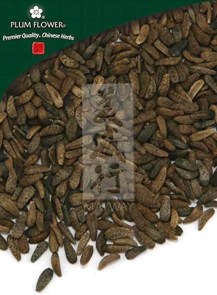 Plum Flower™️ Niu Bang Zi, unsulfured