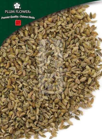 Plum Flower™️ He Shi (nan), unsulfured