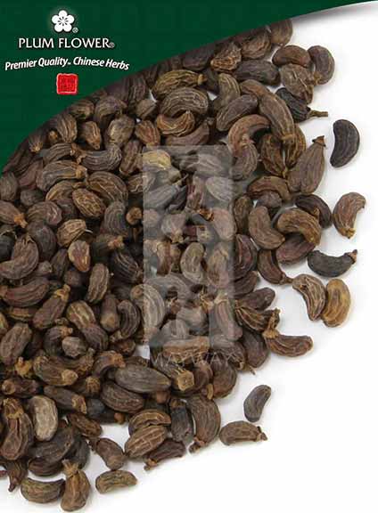 Plum Flower™️ Nu Zhen Zi, unsulfured