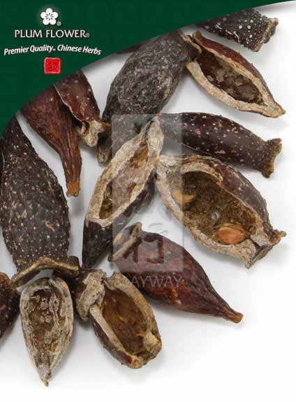 Plum Flower™️ Jin Ying Zi, unsulfured