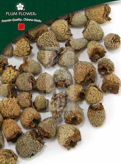 Plum Flower™️ Fu Pen Zi, unsulfured