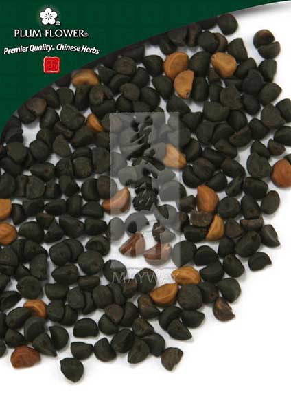 Plum Flower™️ Qian Niu Zi, unsulfured