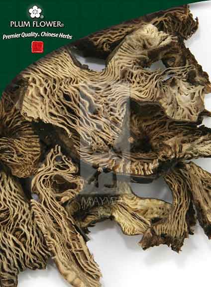 Plum Flower™️ Sheng Ma, unsulfured