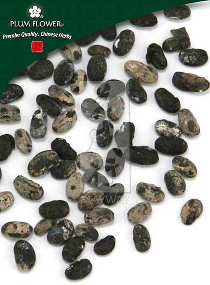 Plum Flower™️ Dan Dou Chi, unsulfured