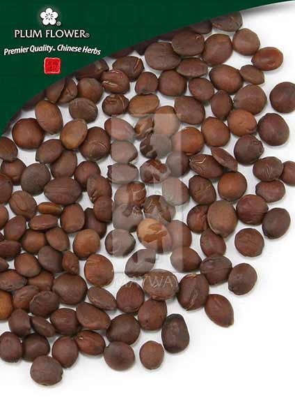 Plum Flower™️ Suan Zao Ren (chao), unsulfured