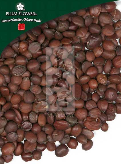 Plum Flower™️ Suan Zao Ren, unsulfured