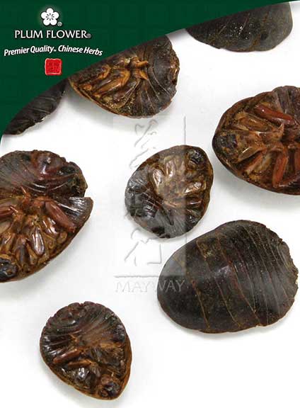 Plum Flower™️ Tu Bie Chong, unsulfured