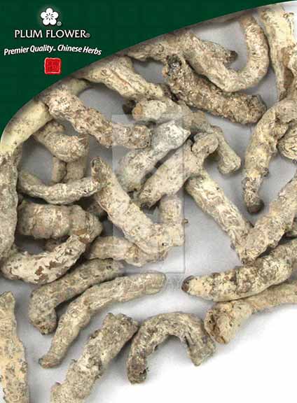 Plum Flower™️ Jiang Can, unsulfured