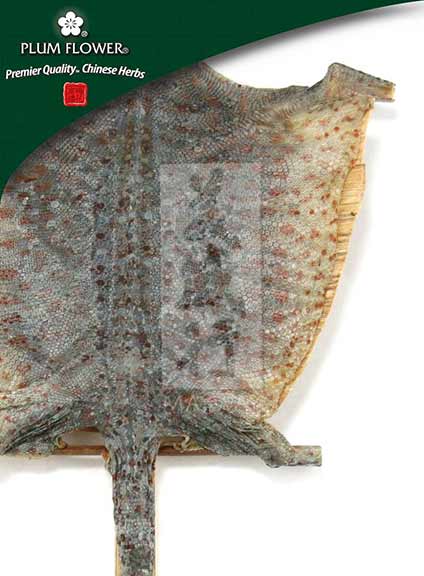 Plum Flower™️ Ge Jie, unsulfured