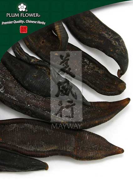 Plum Flower™️ Shui Zhi, unsulfured