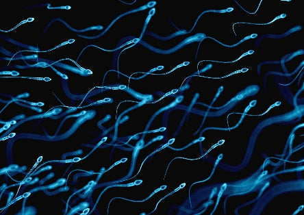 Men's Health: Male Factor Infertility