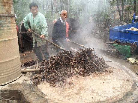 Trip to Bozhou, Part 2: The People