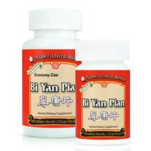Bi Yan Pian Update
