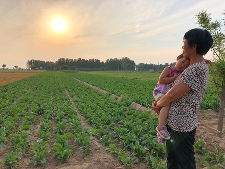 The Mayway and Plum Flower™ Story