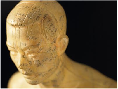 Using Master Tung’s Gallbladder  Points for Diseases of the Head  and Neck