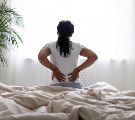 Lower Back Pain / Sciatica