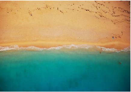 The Yin and Yang of Lyme  Disease and Climate Change