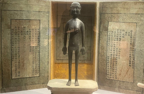 Musings at the Shanghai Museum of TCM