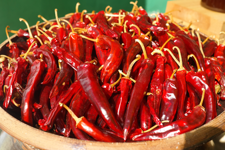 Hot Chili Peppers in the Blistering Sun
