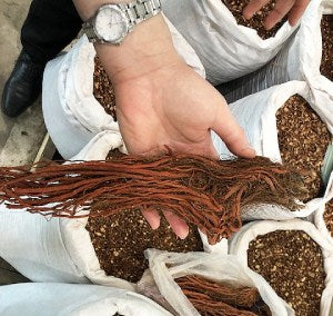 Supply Chain Update - July 2024