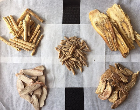 AHP's Response to Recent Criticism of Traditional Chinese Medicine in Nature