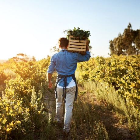 Herb Supply & Sustainability Update October, 2023