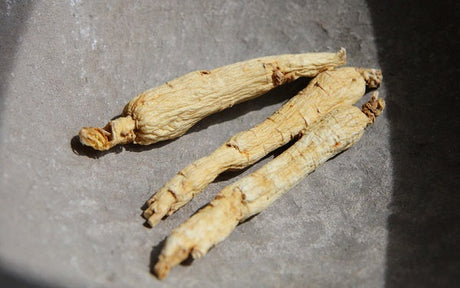 Finding the Right Ginseng
