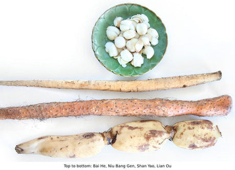 Exploring Fresh Local Food-Herbs