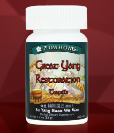 Great Yang Restoration Teapills - Bu Yang Huan Wu Wan