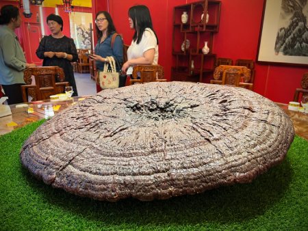 Herb Nerd's Paradise: 4 days in Anguo