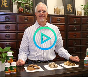 Herbalist Corner: Medicinal Mushrooms