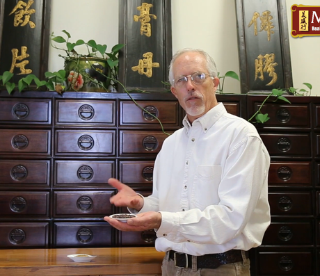 Herbalist Corner: Suan Zao Ren & Bai Zi Ren