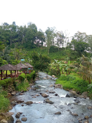 I Ching Reading for 2024