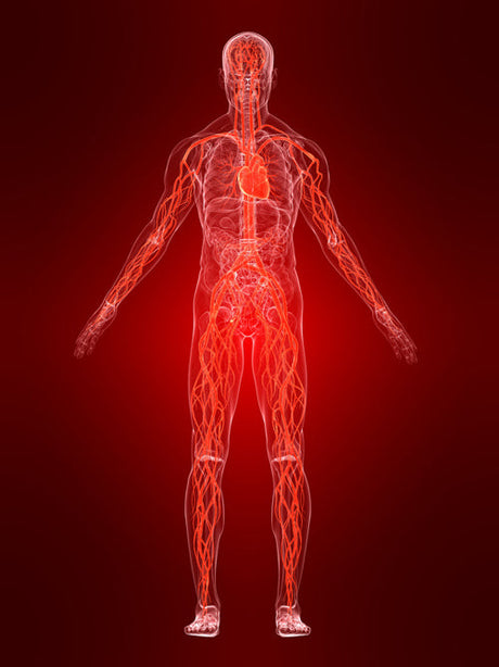 TCM Heat and Inflammation