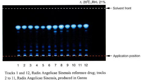 Herb Identification and Authentication