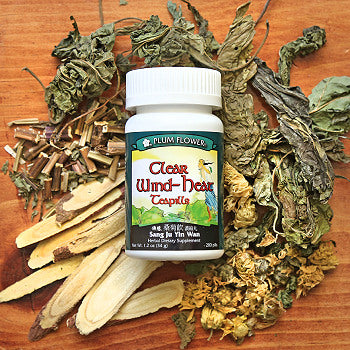 Cooling Summer Heat: Sang Ju Yin