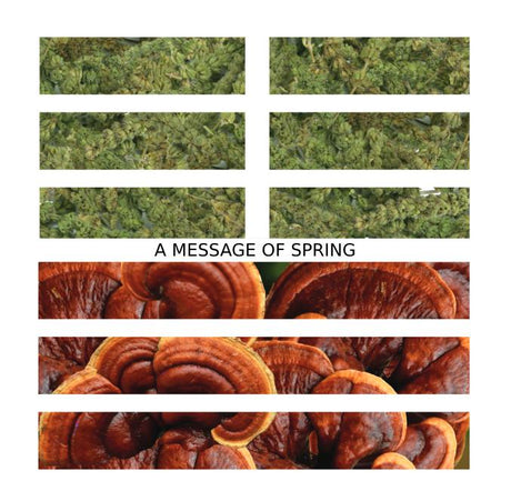 泰 Tài / Tranquility/Peace