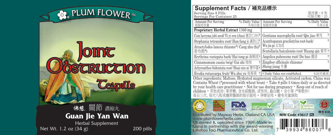 Plum Flower™️ Joint Obstruction Teapills - full label