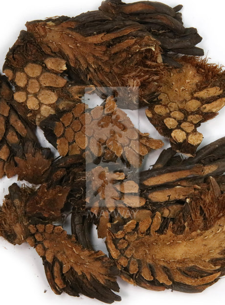 Plum Flower™️ Guan Zhong, unsulfured