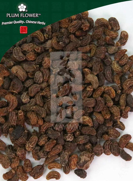 Plum Flower™️  Nu Zhen Zi, unsulfured